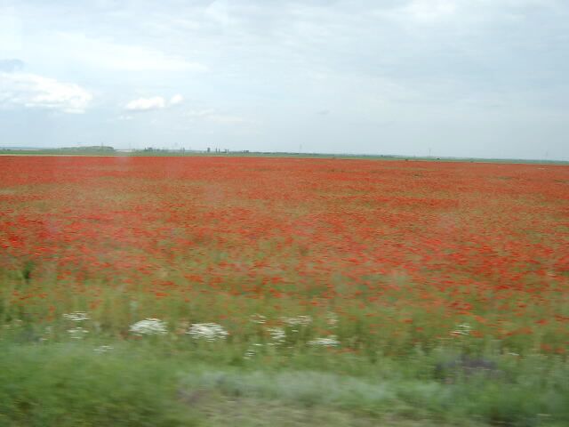 Natura a Romania